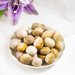 Fossil Coral Tumbled Stones