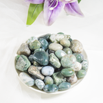 Moss Agate Tumbled Stones