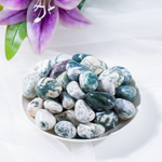Tree Agate Tumbled Stones