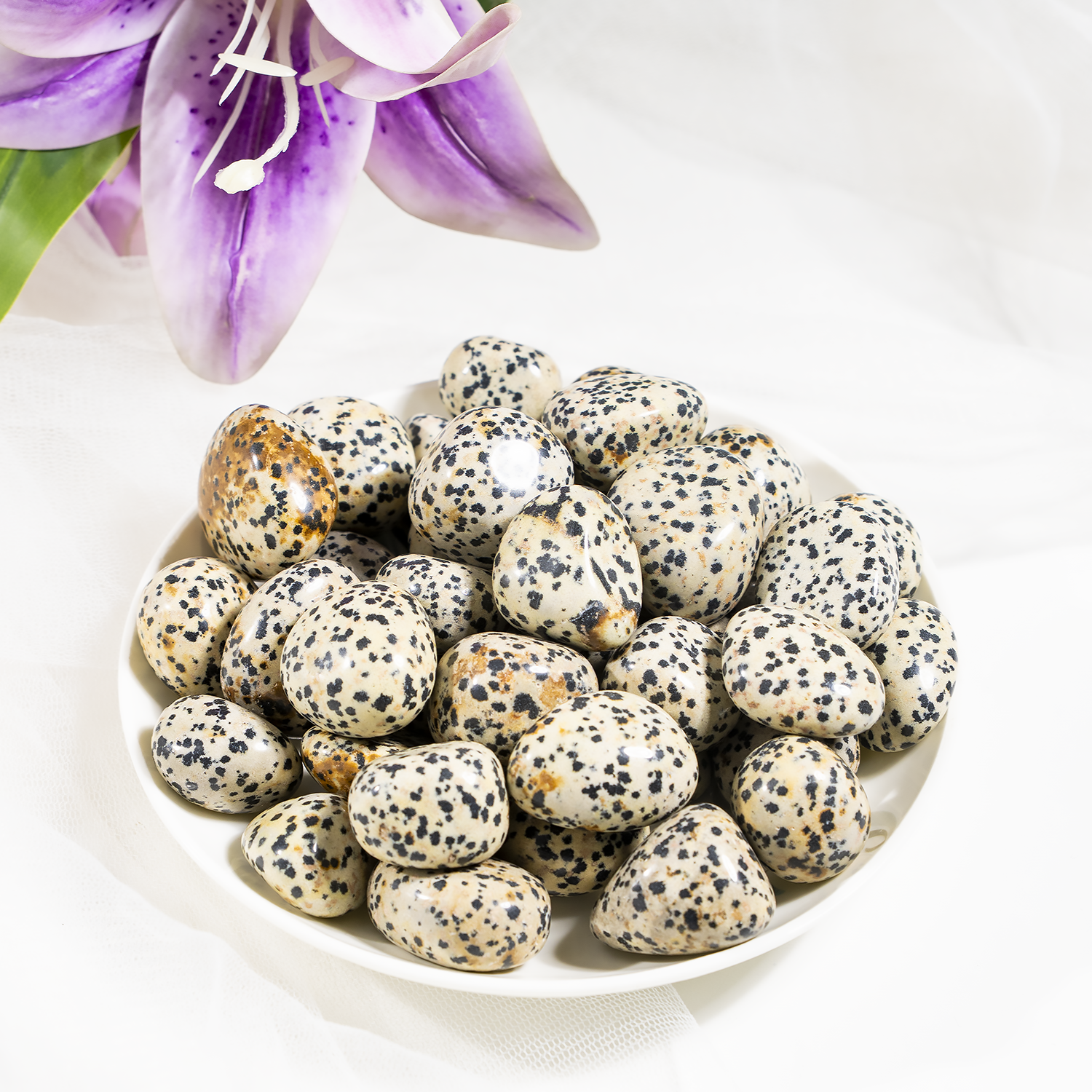 Dalmatian Jasper Tumbled Stones