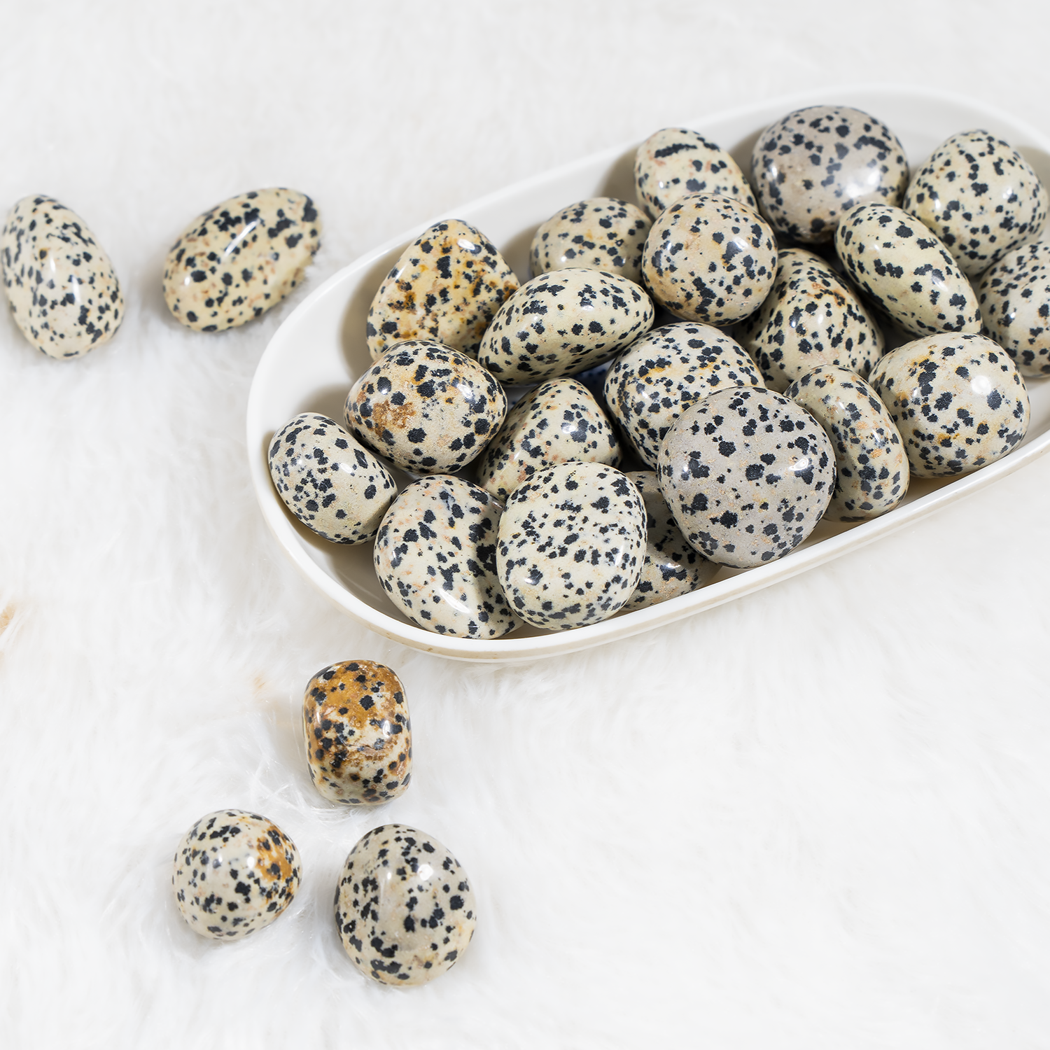 Dalmatian Jasper Tumbled Stones